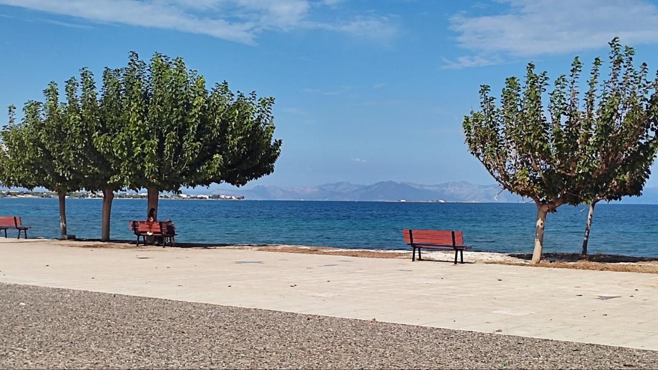 Beautiful Choice - Near Athens Airport - 50M From The Sea - Iq+ Apartment อาร์เตมีดา ภายนอก รูปภาพ