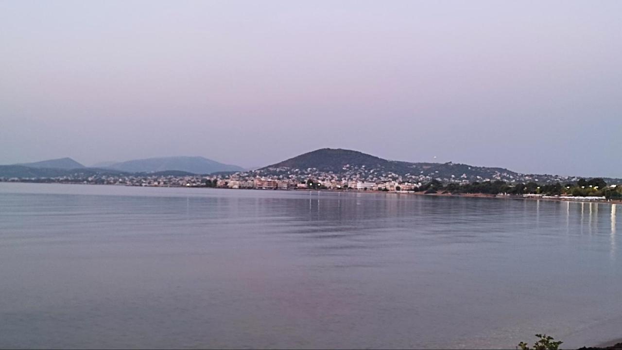 Beautiful Choice - Near Athens Airport - 50M From The Sea - Iq+ Apartment อาร์เตมีดา ภายนอก รูปภาพ