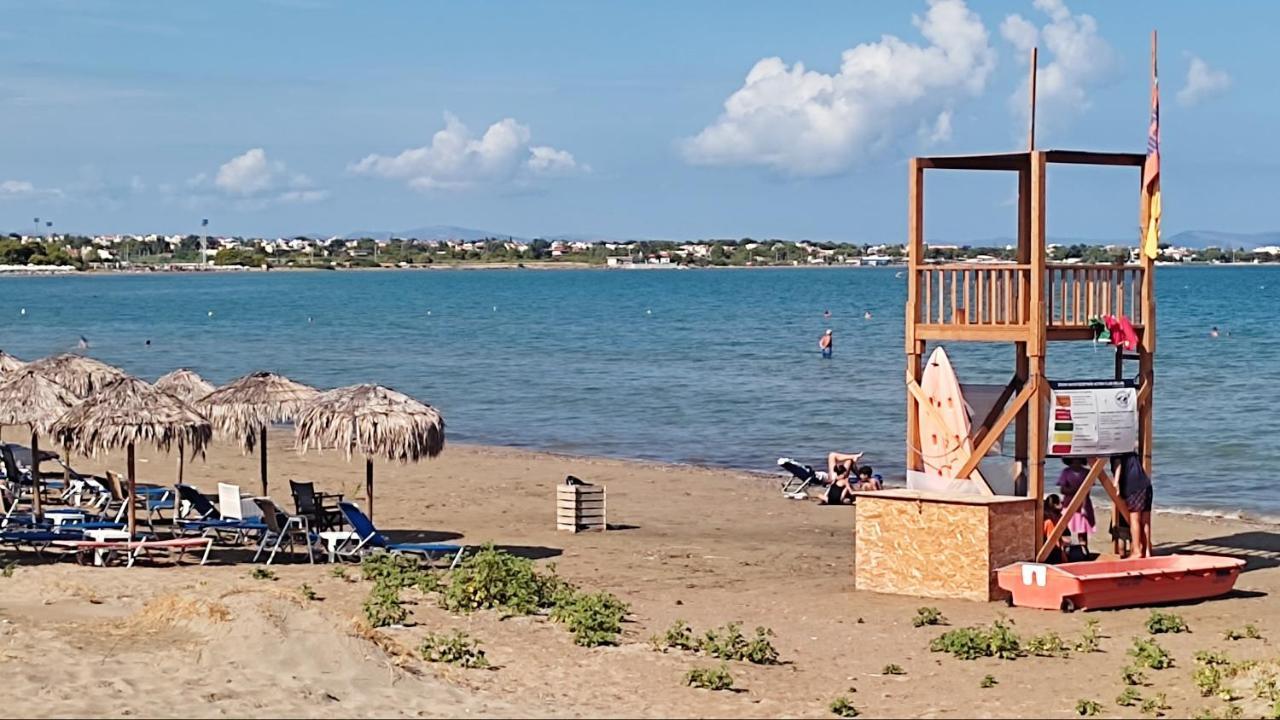 Beautiful Choice - Near Athens Airport - 50M From The Sea - Iq+ Apartment อาร์เตมีดา ภายนอก รูปภาพ