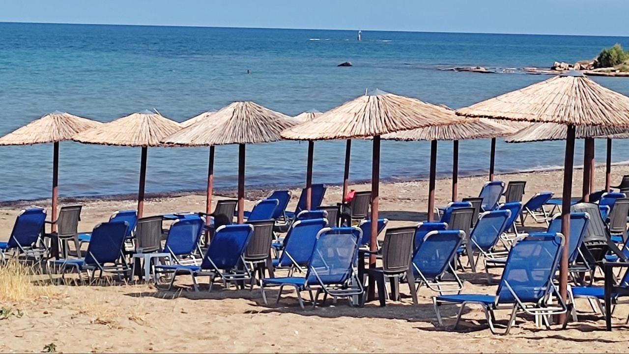 Beautiful Choice - Near Athens Airport - 50M From The Sea - Iq+ Apartment อาร์เตมีดา ภายนอก รูปภาพ