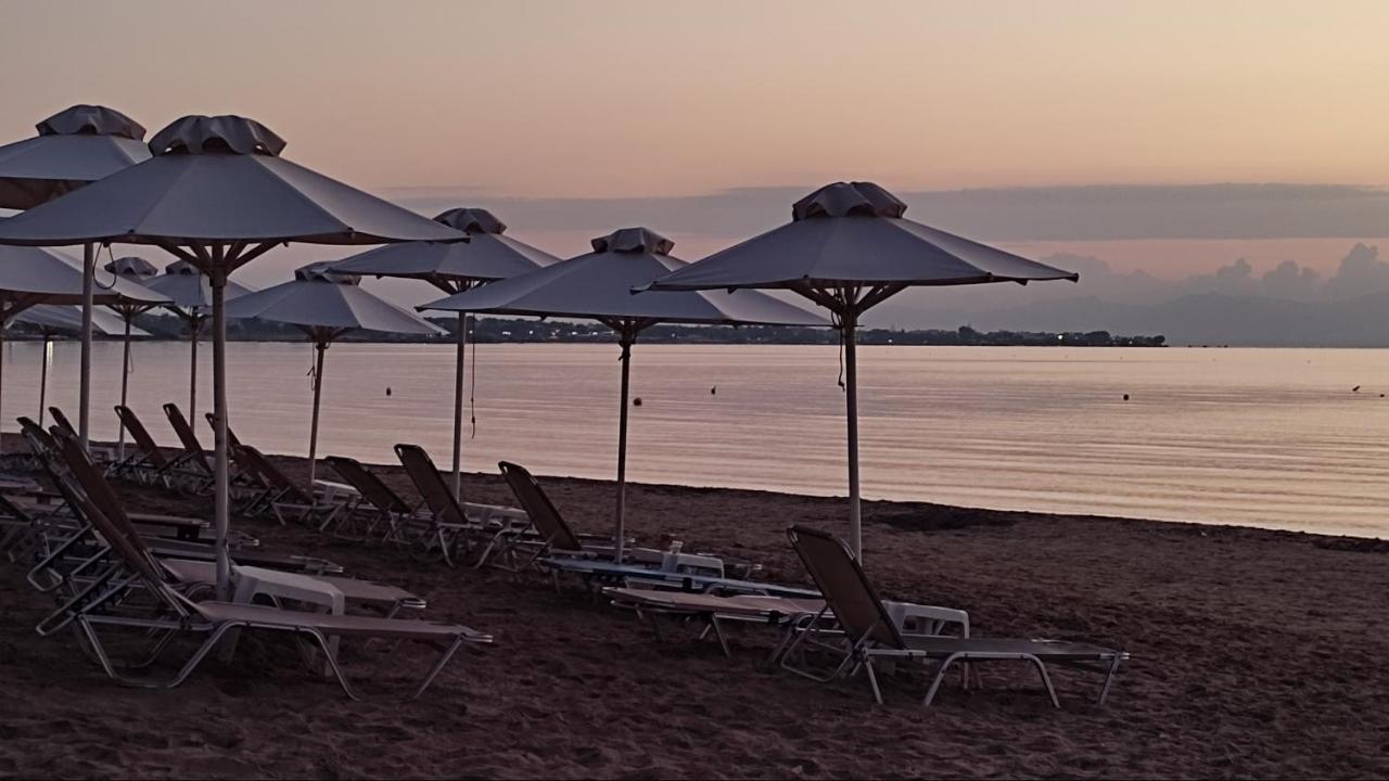 Beautiful Choice - Near Athens Airport - 50M From The Sea - Iq+ Apartment อาร์เตมีดา ภายนอก รูปภาพ